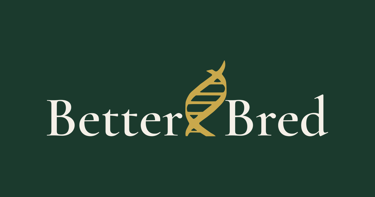 www.betterbred.com